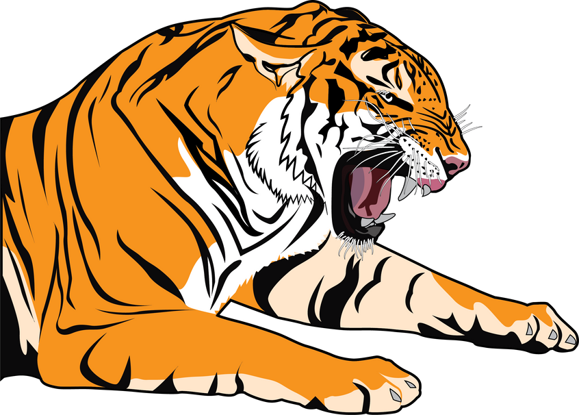 Tiger Yawning Illustration