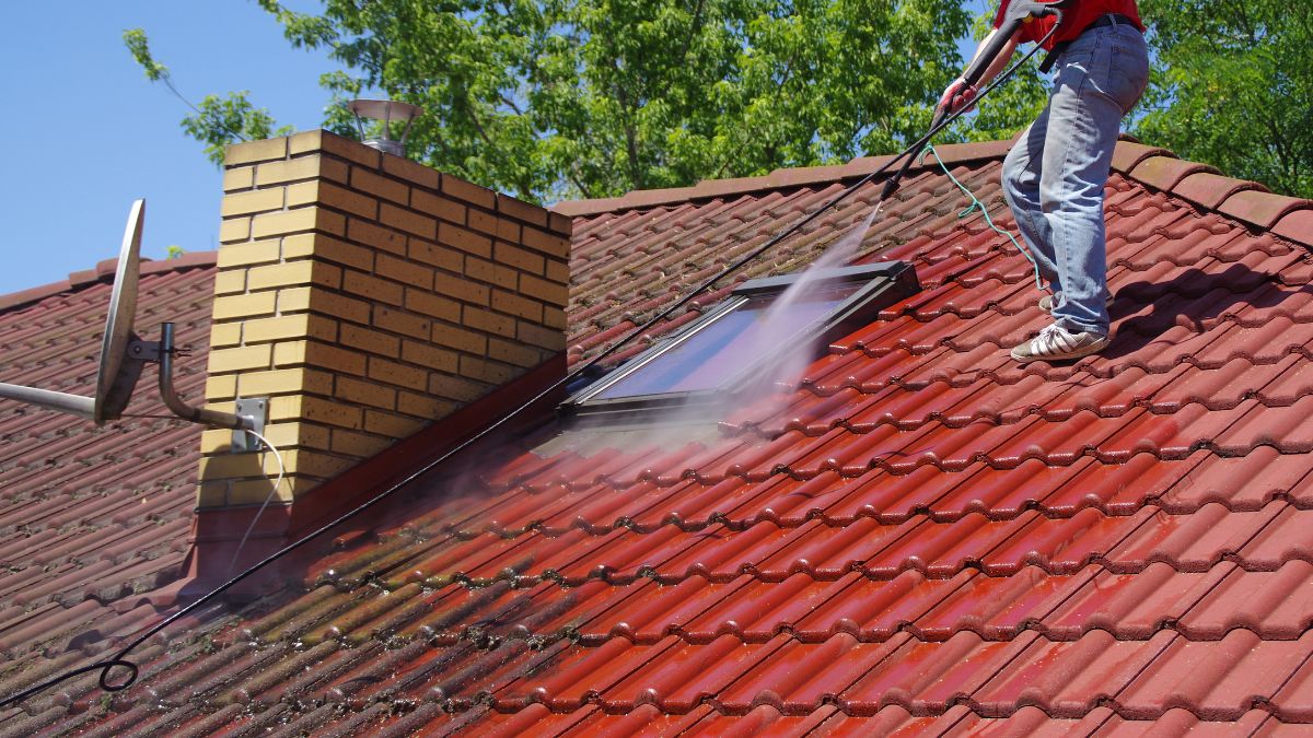 Before and after roof cleaning showing removal of black streaks